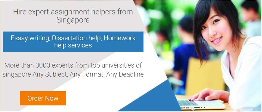 singapore university assignment help